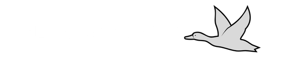 PlasmaGans