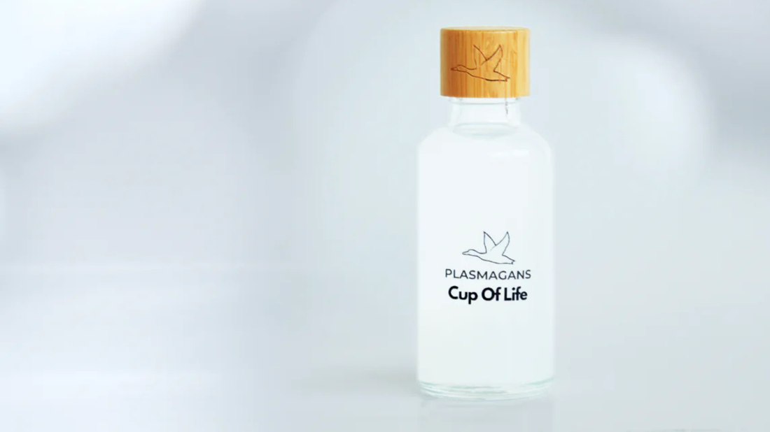 Wat is Plasma GaNS? Het verborgen veld dat je lichaam in balans brengt