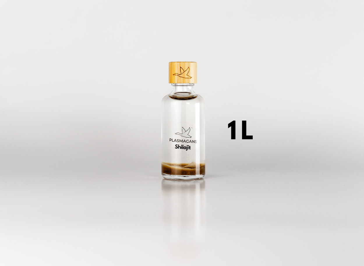 Shilajit Plasma GaNS | 1 Liter