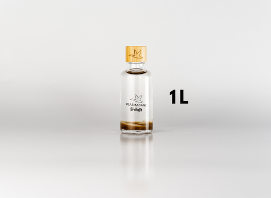 Shilajit Plasma GaNS | 1 Liter