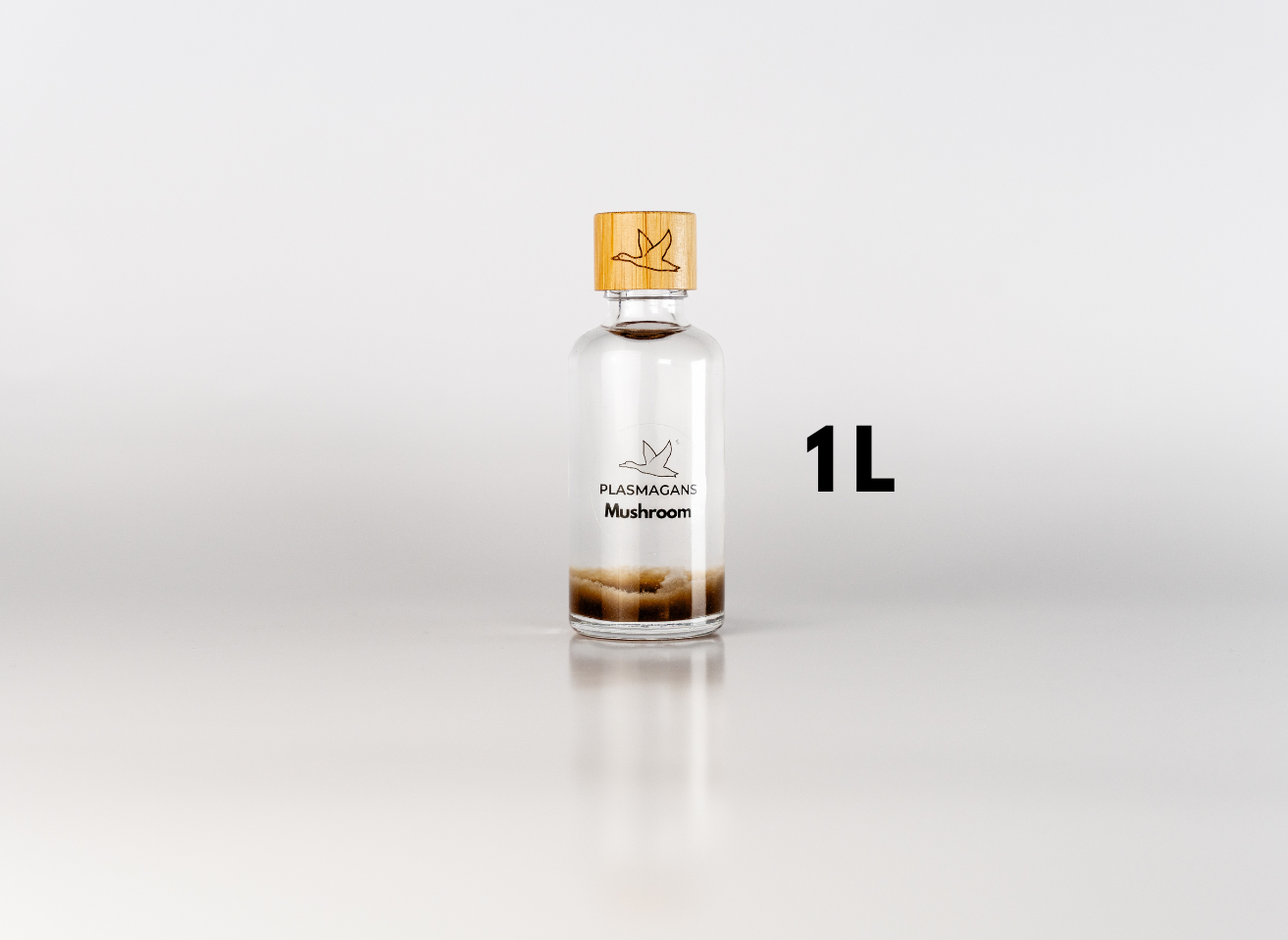 Mushroom Plasma GaNS | 1 Liter