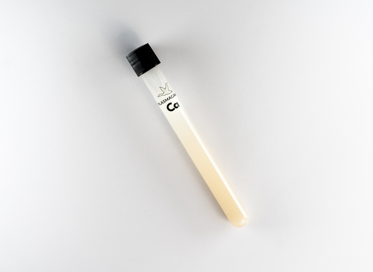 Tube de perfusion d'eau CaO XL