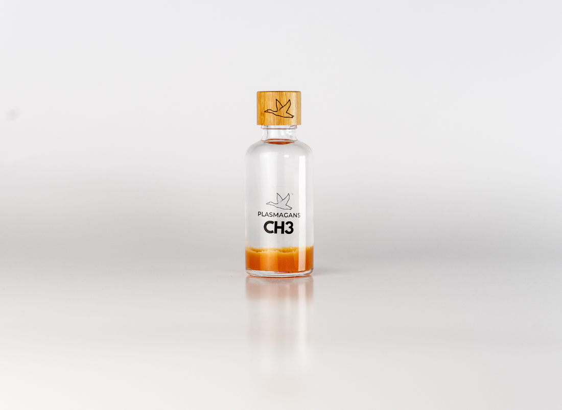 CH3 Plasma-GaNS | Energie-Infusionsflasche