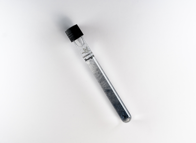 Plasma GaNS de shungite | Tube d’infusion d’eau