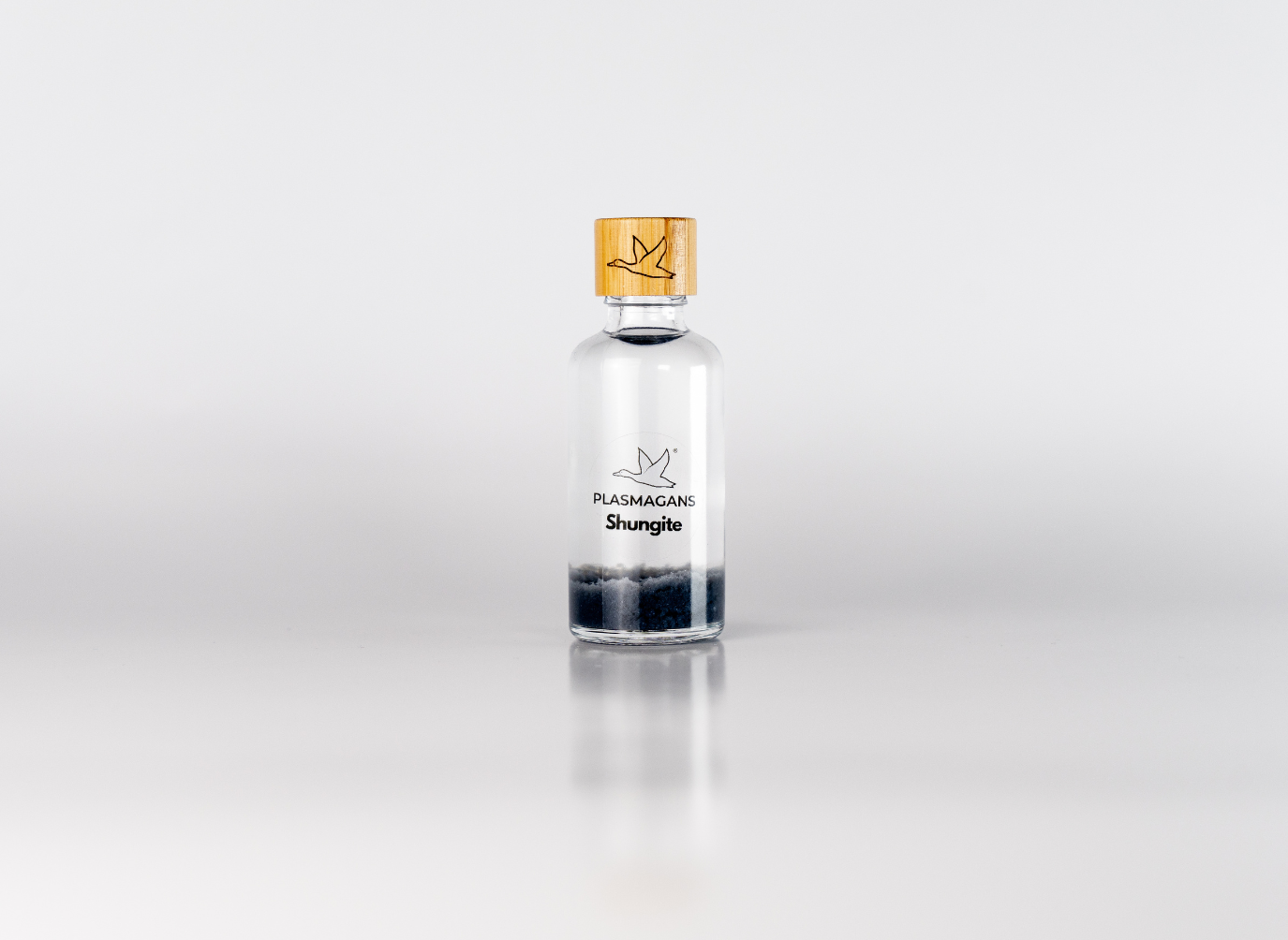 Shungite Plasma GaNS | Energy Infusion Bottle