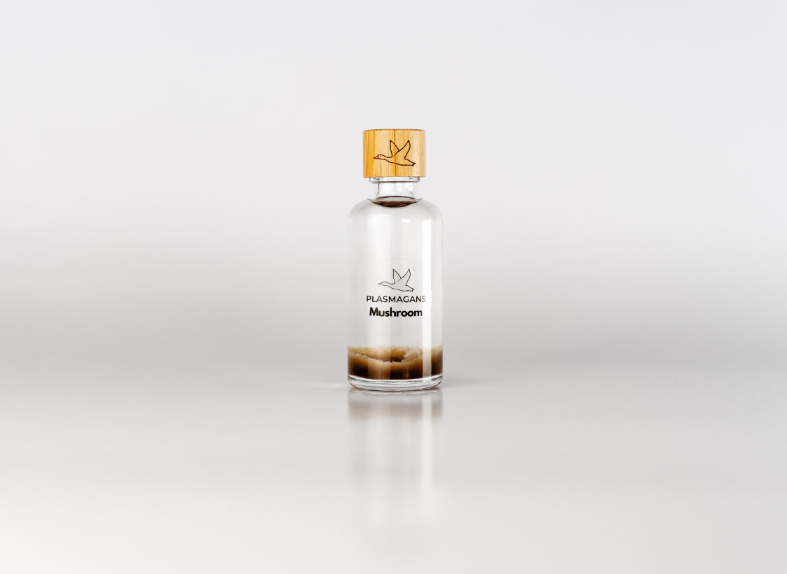 Mushroom Plasma GaNS for energy support