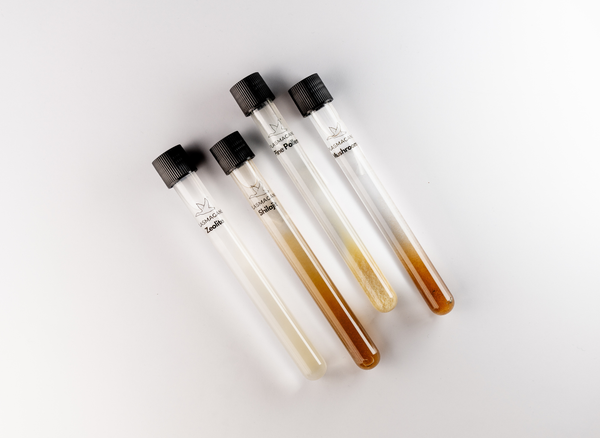 Coffret tubes d’infusion d’eau Vitalité