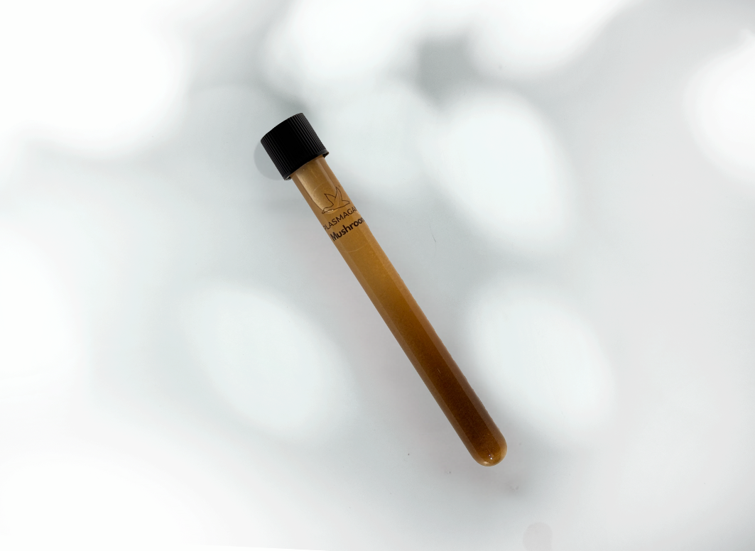Mushroom Water Infusion Tube