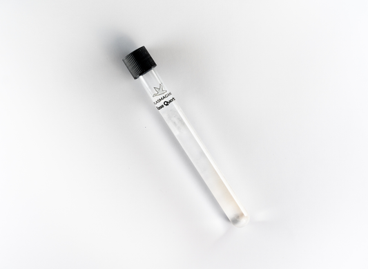 Tube d'Infusion d'Eau Quartz Rose XL