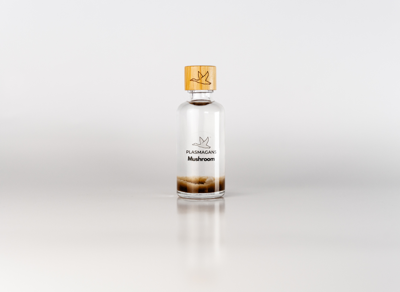 Mushroom Plasma GaNS | Energy Infusion Bottle