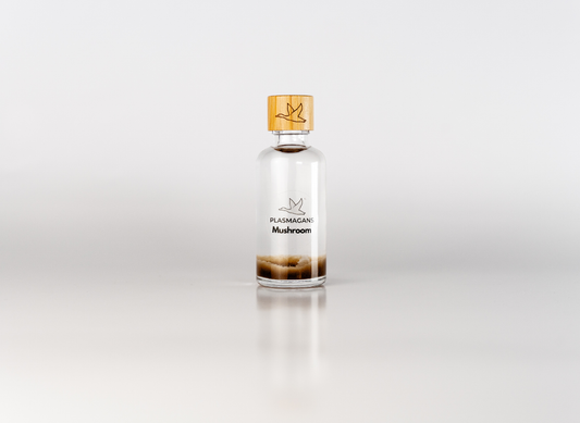 Mushroom Energy Infusion Bottle