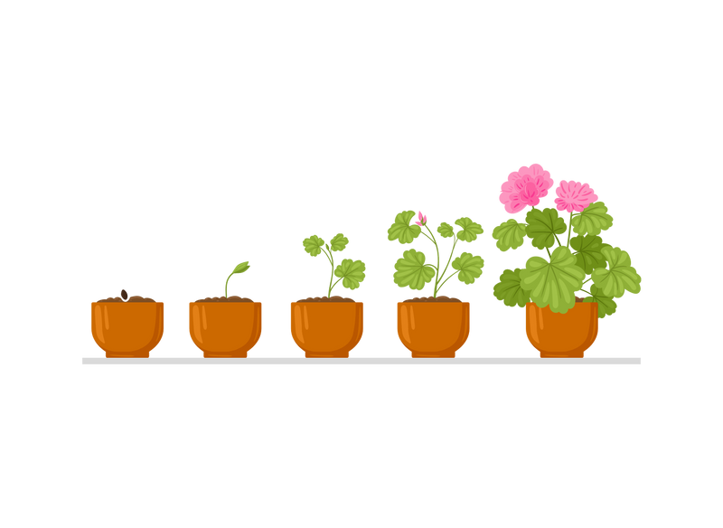 Plant growth