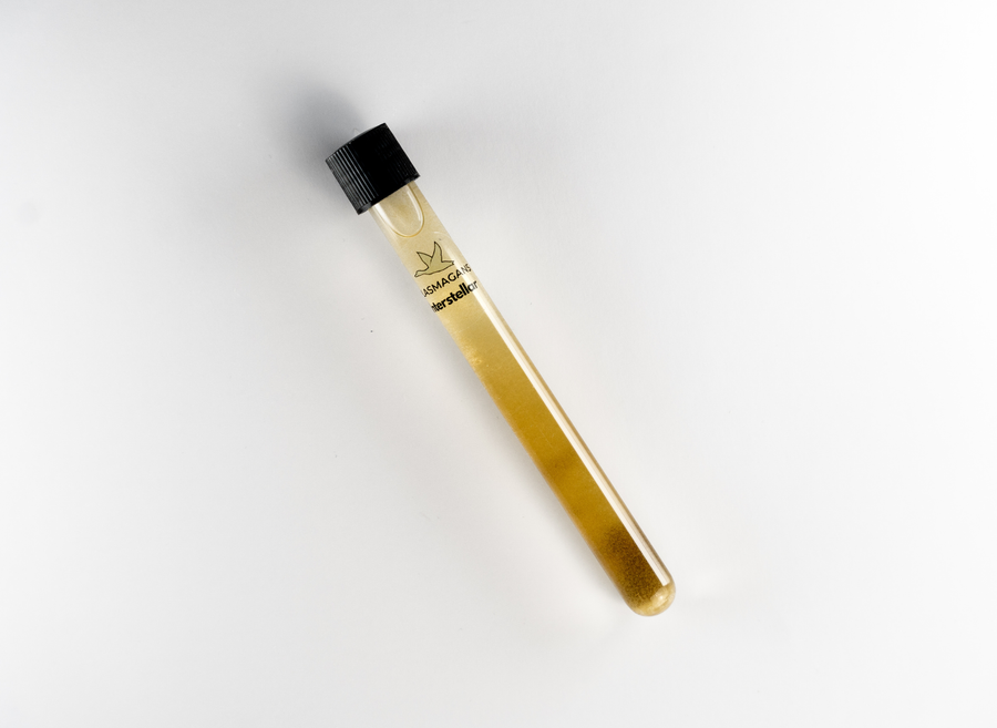 Interstellar Plasma GaNS | Water Infusion Tube