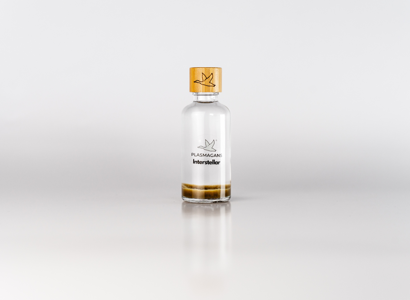 Interstellar Plasma GaNS | Energy Infusion Bottle