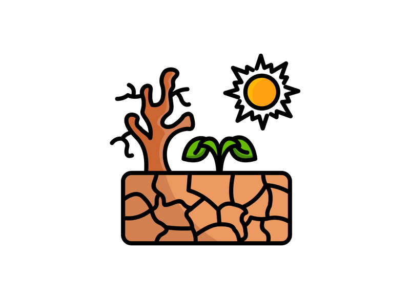 Drought and heat