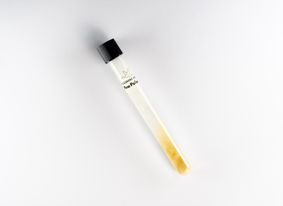 Plasma GaNS de pollen de pin | Tube d’infusion d’eau