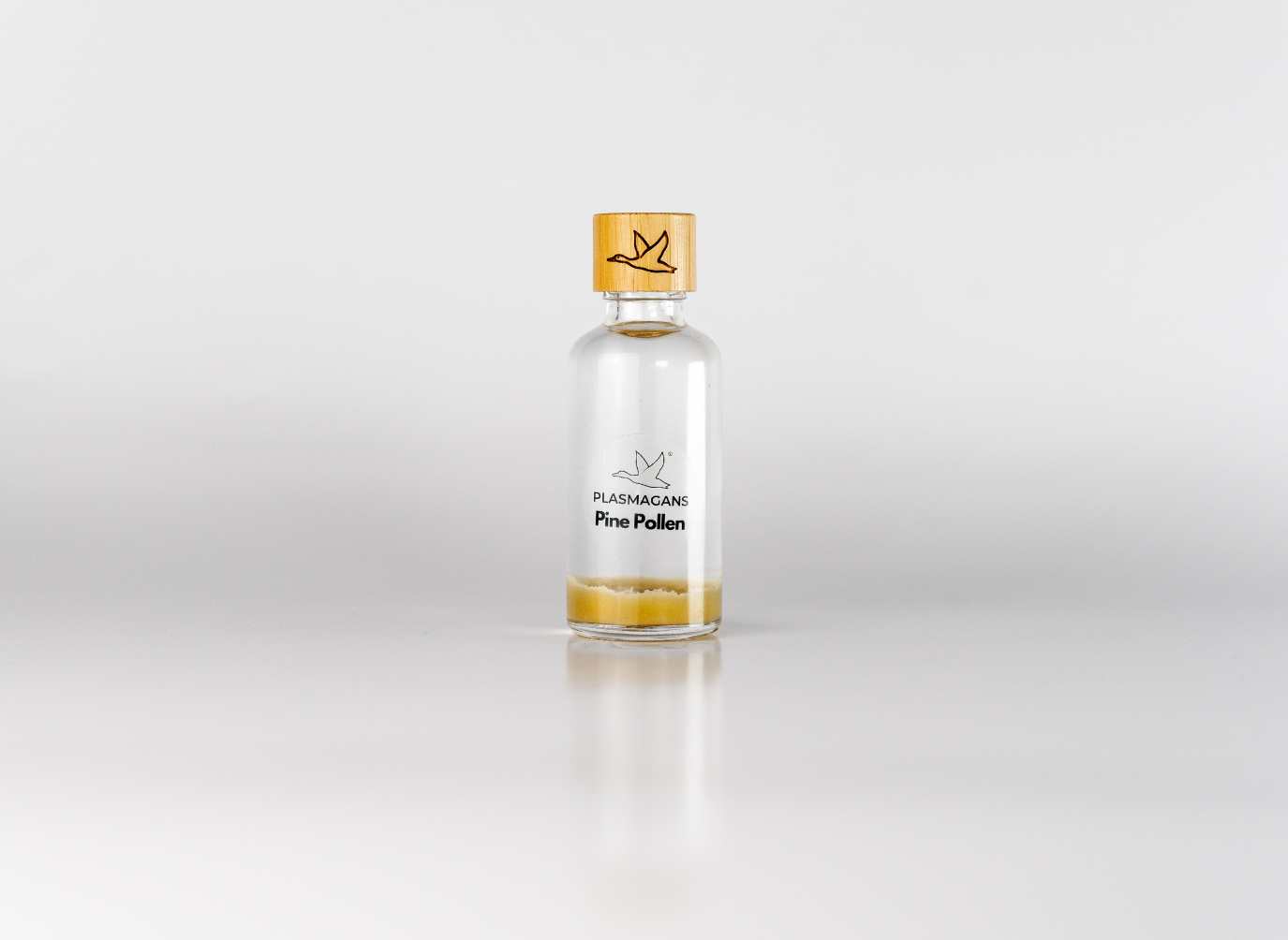 Pine Pollen Plasma GaNS | Energy Infusion Bottle