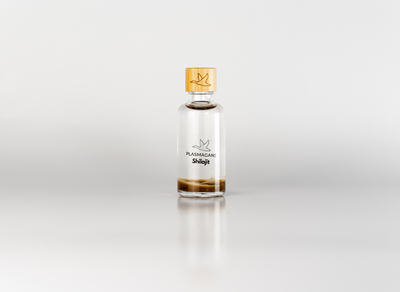 Plasma GaNS de shilajit | Bouteille d’infusion énergétique